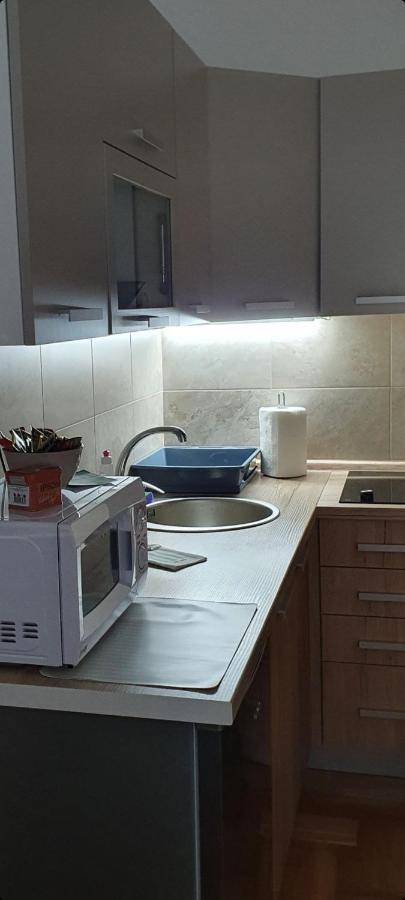 Vrnjačka Banja Apartman Tim Lux 1 מראה חיצוני תמונה